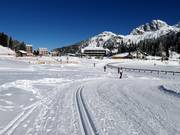 Piste de ski de fond FIS-Seeloipe