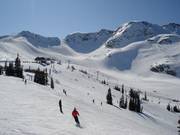 Les pistes du Whistler Mountain