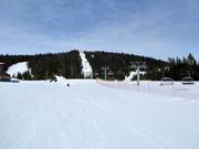 Pistes vers la station de vallée du télésiège