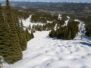 Piste à bosses Grits