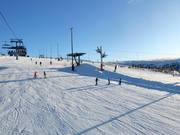 Piste facile et large Familjebacken à Hundfjället