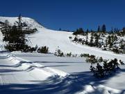 Piste bleue Tauernkarlift