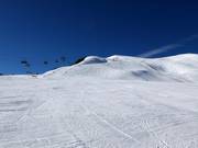 Descente Coupe du monde