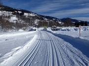 Piste de ski de fond dans le Brixental