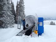 Personnel amical au tapis roulant