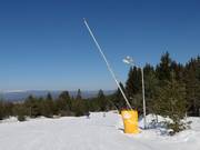 Enneigement performant de la descente vers la vallée Bansko