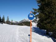 Balisage des pistes