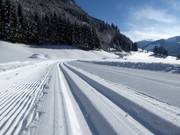 Piste de ski de fond à Donnersbachwald