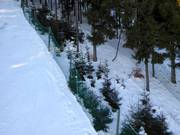 Les zones de reboisement ne doivent pas être empruntées.