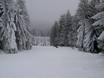 Diversité des pistes Hartz – Diversité des pistes Bocksberg – Hahnenklee