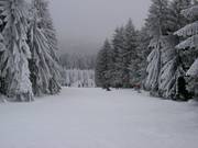 Descente vers la vallée