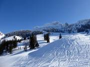 Vue sur la Kampenwand