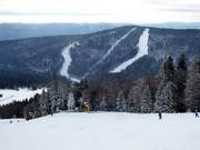 Vue sur les pistes du Zwieselberg
