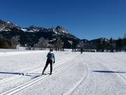 Pistes de ski de fond dans la vallée de Tannheim