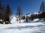 Piste facile Brunarica n° 1