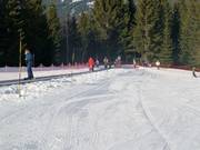 Espace débutant avec tapis roulant