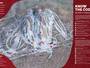 Plan des pistes Big Powderhorn Mountain