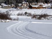 Piste de ski de fond d'altitude à Sulden