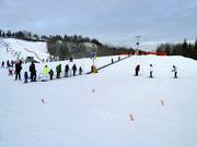 Tapis roulant avec piste pour débutants