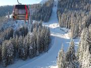 Piste facile de descente en vallée, idéale pour les débutants