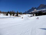 Piste facile n° 43 Golf