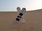 Sandboards dans le sable