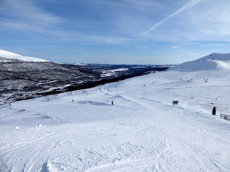 Herdalie (Härjedalen): Taille des domaines skiables – Taille Tänndalen