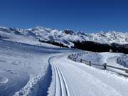 Piste de ski de fond Platschjoch