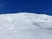 Piste noire Pfannspitz