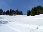 Descente Schwarzenberg