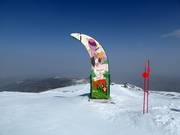 Bon plan pour les enfants : 