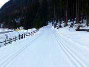 Piste panoramique de ski de fond vers Eben