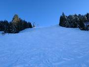 Piste noire à bosses