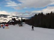 TK du Cabochon - Téléski