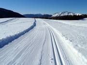 Piste de ski de fond d'altitude au col de Rolle