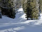 Piste de ski de fond d'altitude Schlickeralm : descentes et montées