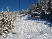Piste de poudreuse en dessous du télésiège six places