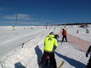 Baby Novako B - Télécorde/remonte-pente à câbles bas