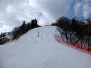 Piste à bosses Ladies Downhill