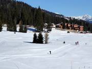 Piste de ski de fond à Madonna di Campiglio