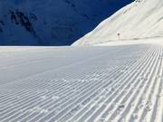 Préparation des pistes