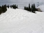 Piste à bosses au Aspen Mountain