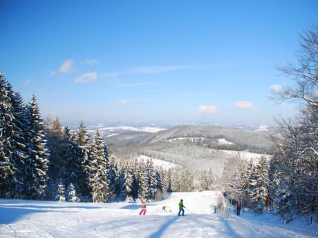 Olpe: Domaines skiables respectueux de l'environnement – Respect de l'environnement Hohe Bracht – Lennestadt
