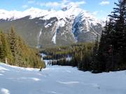 Piste à bosses Bruno's Gully