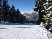 Descente facile du Sattel