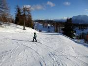 Piste facile Schneiderkogel