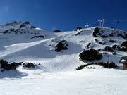 Espace de ski libre en dessous du Grubigstein