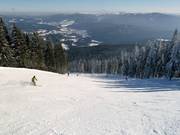 Piste noire Osthangstrecke