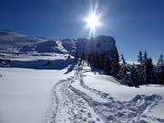 Bon plan pour les enfants : 