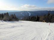 Large piste standard